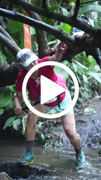 BIB:  <button type="button" onclick="openModal(27239509)" class="btn btn-primary btn-sm float-right" data-toggle="modal" data-target=".modal-high-quality">
                <i class="fa fa-download"></i> Download
                </button>